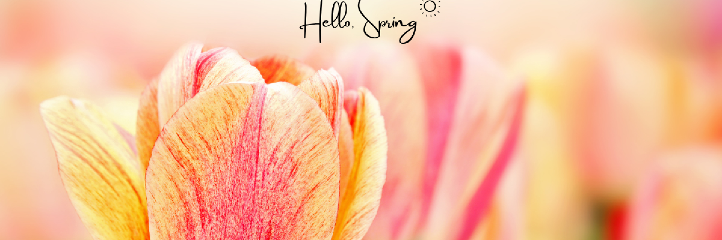 Hello Spring