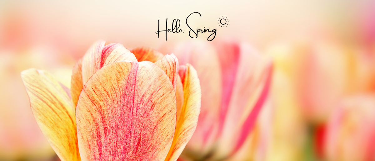 Hello Spring